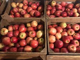 1/2 Bushel Apples #2 