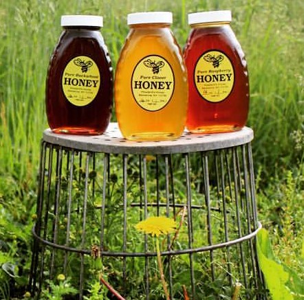 1lb Pure Local Honey