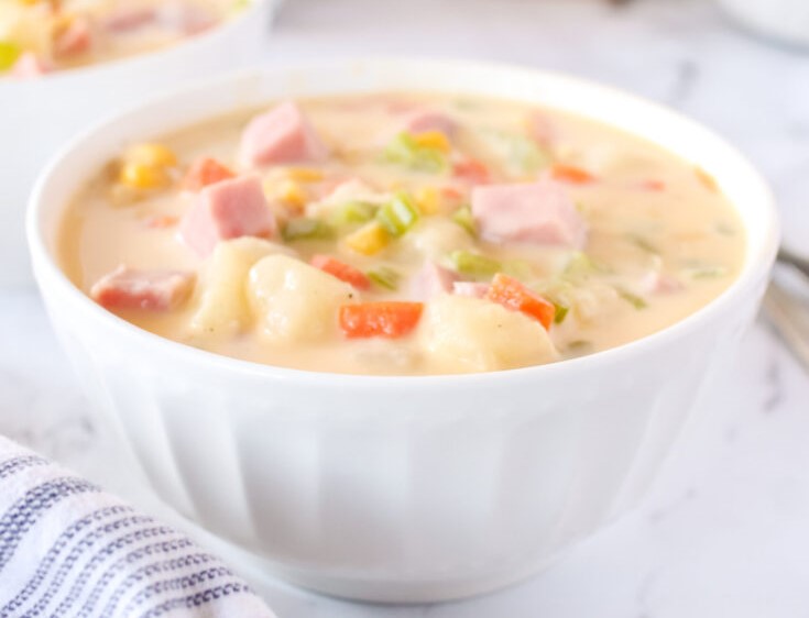 Cheesy Ham & Potato Soup Subscription