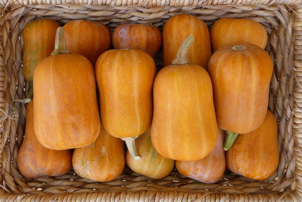 Honeynut Squash (2 pieces)