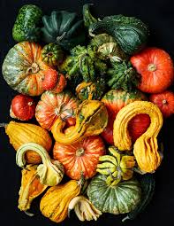 10 Gourds